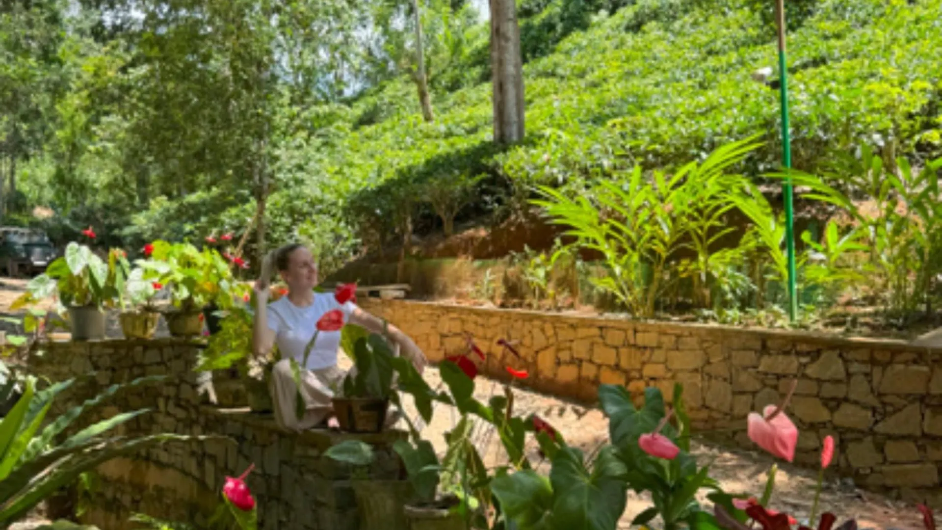 *** Hotel Aqua Dunhinda Villa Kandy Sri Lanka